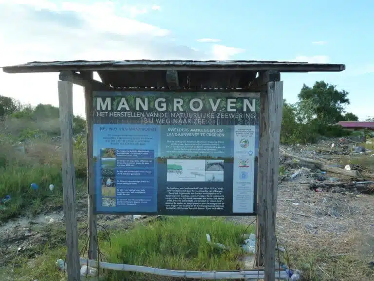 Information board at a mangrove restoration site in Suriname | JBA Global Resilience