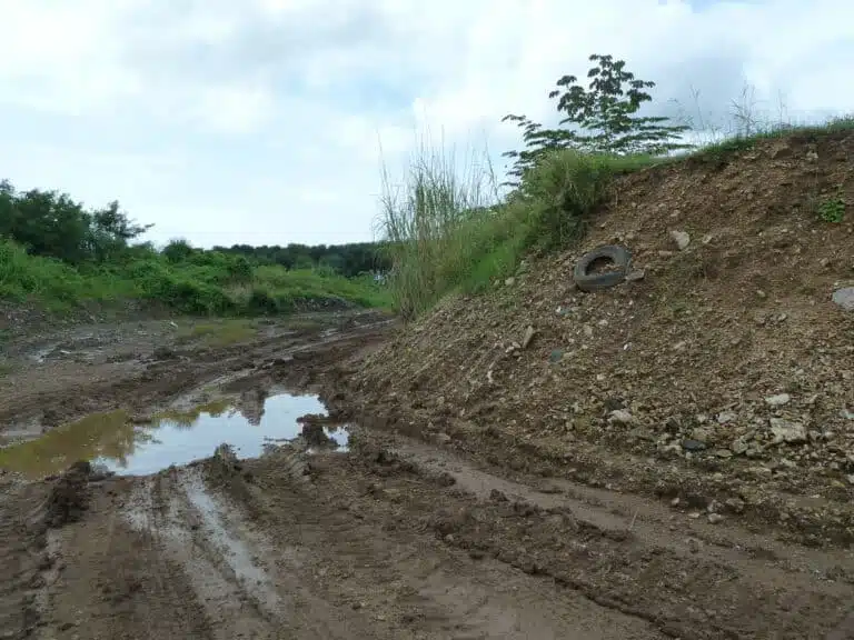 Land raising following mangrove deforestation, Panama City