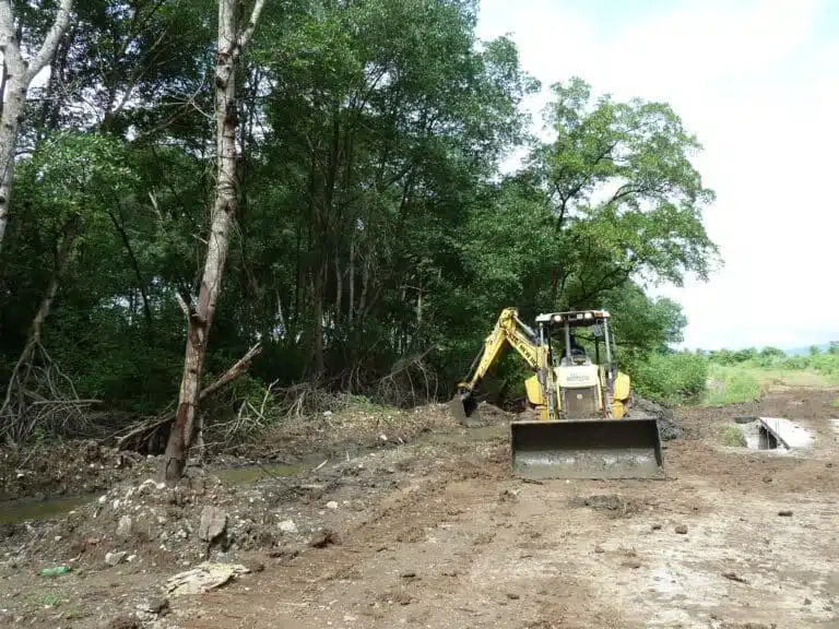 Mangrove deforestation, Panama City