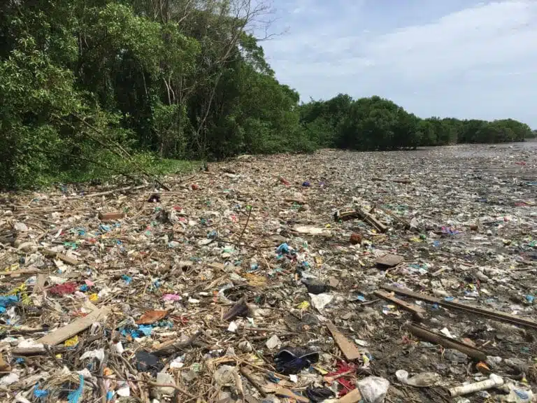 Waste accumulation along Panama coastline