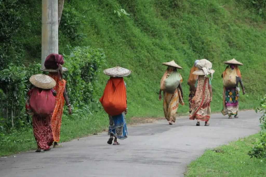 Several women walking along a paved path in the Himalayas, surrounded by lush green vegetation. The women are dressed in traditional clothing and are carrying goods in fabric bundles on their backs and heads.