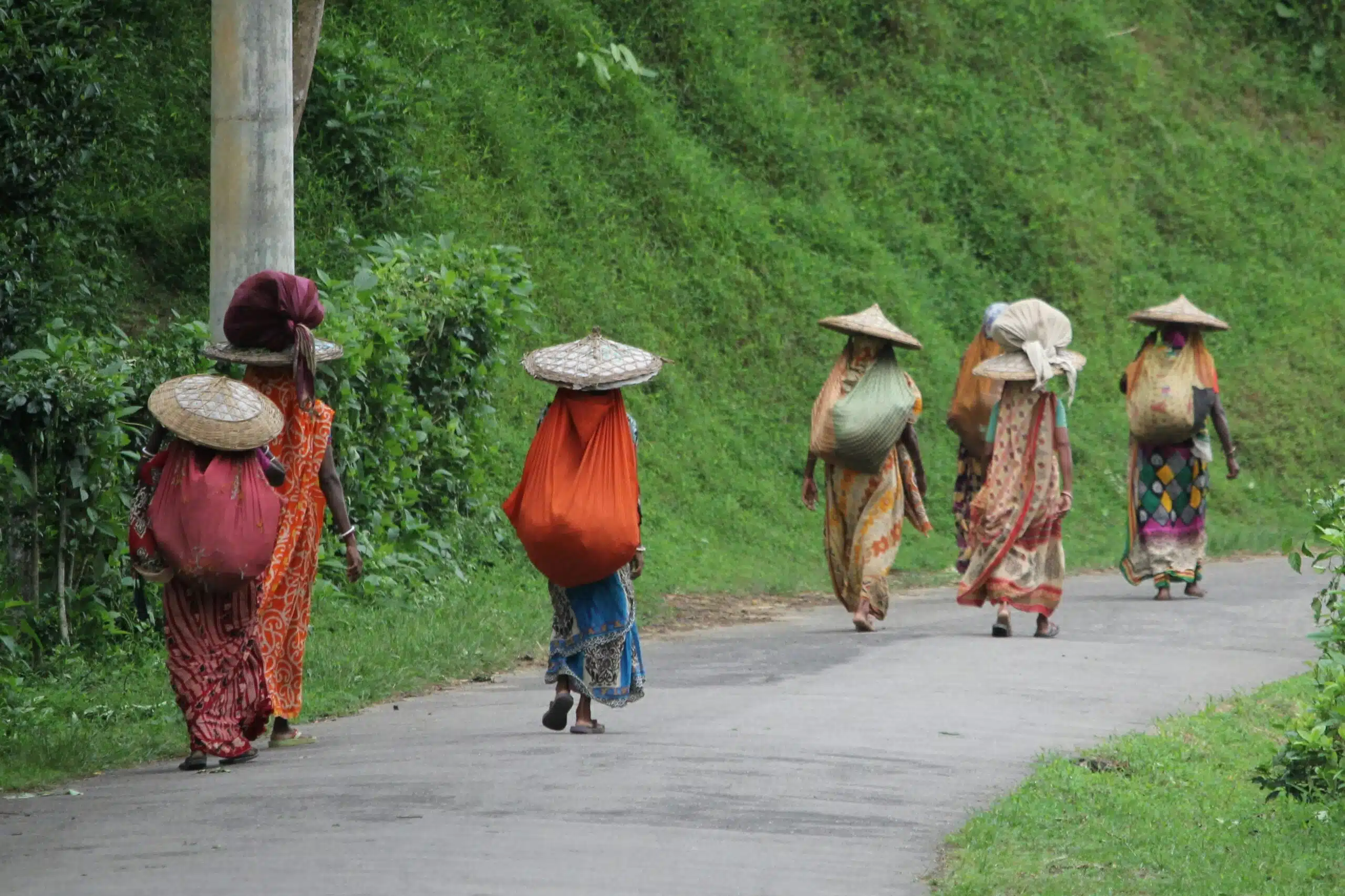 Several women walking along a paved path in the Himalayas, surrounded by lush green vegetation. The women are dressed in traditional clothing and are carrying goods in fabric bundles on their backs and heads.