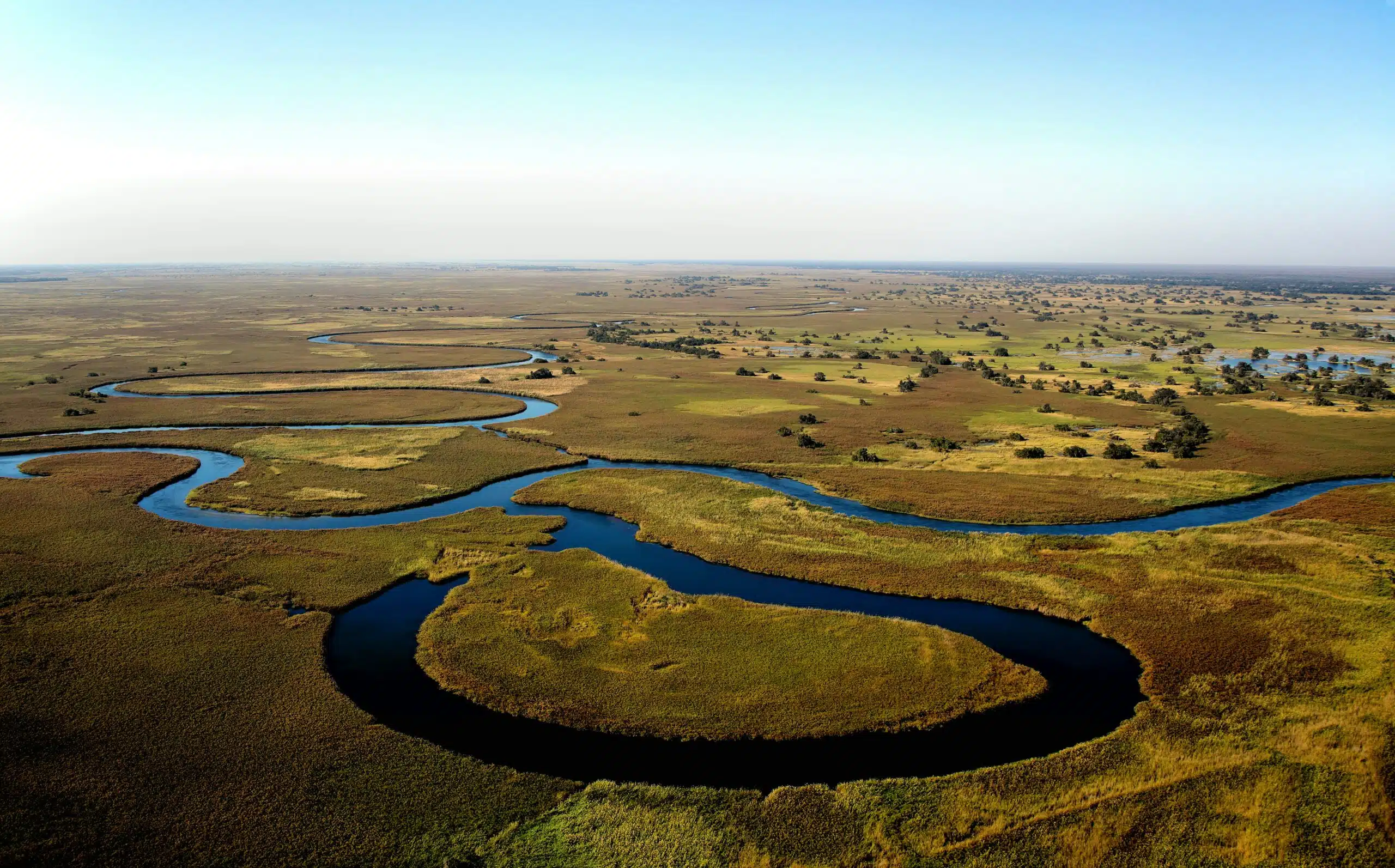 Aerial view of a meandering river cutting through the grassy wetlands of Botswana, with green vegetation and scattered trees stretching to the horizon under a clear blue sky.