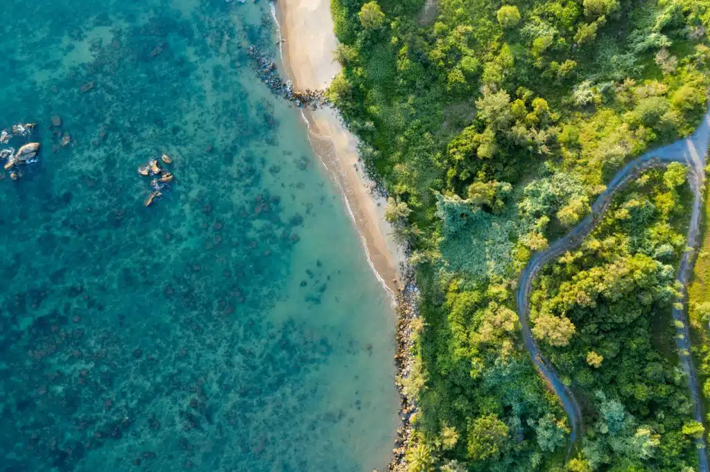 Aerial view of coastal forests and shoreline in Vietnam, highlighting mangroves and natural ecosystems that support coastal resilience.
