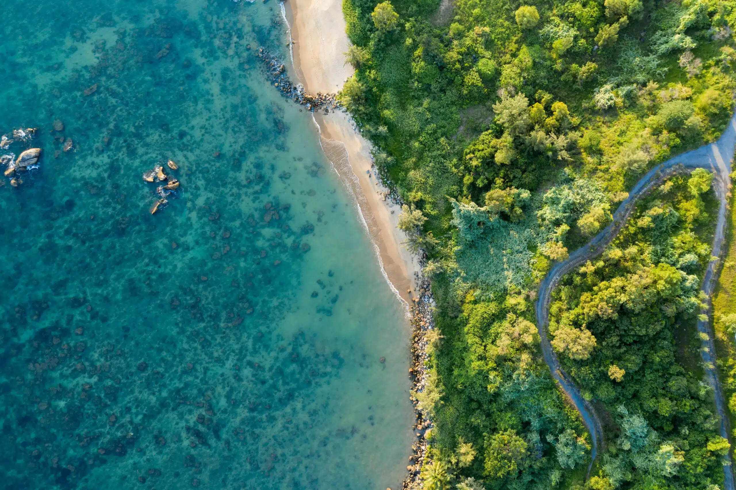 Aerial view of coastal forests and shoreline in Vietnam, highlighting mangroves and natural ecosystems that support coastal resilience.