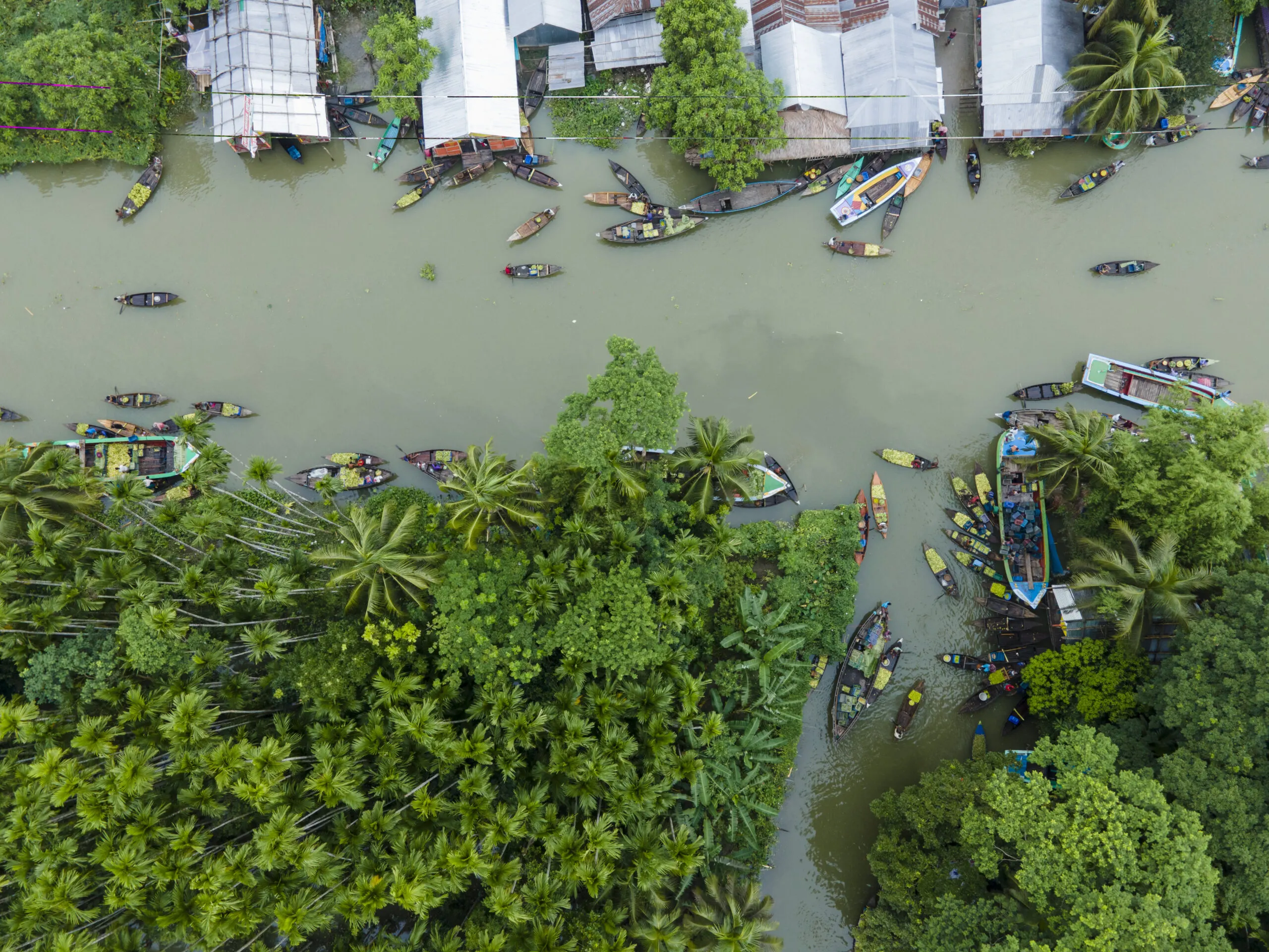 Aerial view of floating guava market in Bangladesh showing grey/green coloured river channel and an array of boats surrounded by dense tropical vegetation and buildings along the riverbank. Land of Guava Orchard at Bhimruli, Jhalokati, Barisal, Bangladesh.