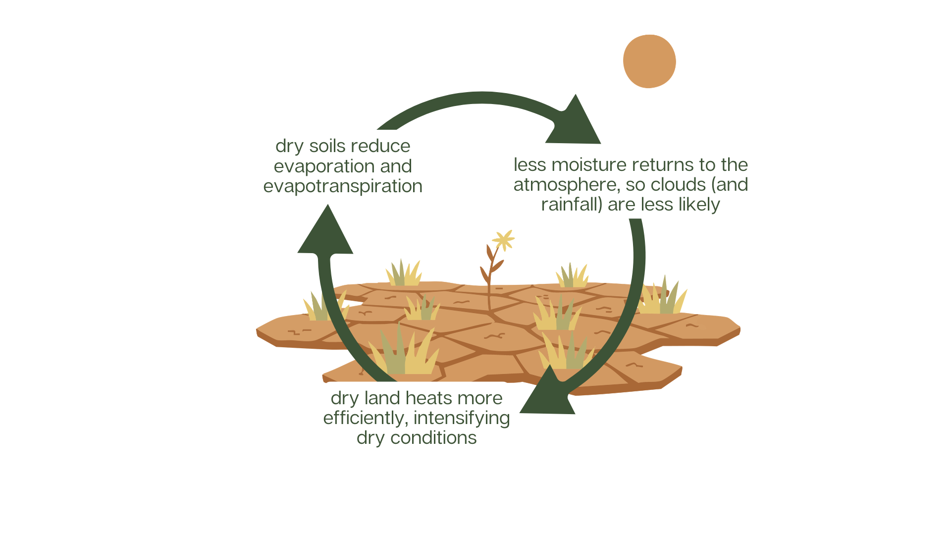 Illustration showing a reinforcing drought feedback loop. Dry soils reduce evaporation and evapotranspiration, meaning less moisture returns to the atmosphere, so clouds and rainfall are less likely. Drier land heats more efficiently, intensifying dry conditions and further drying the soil.