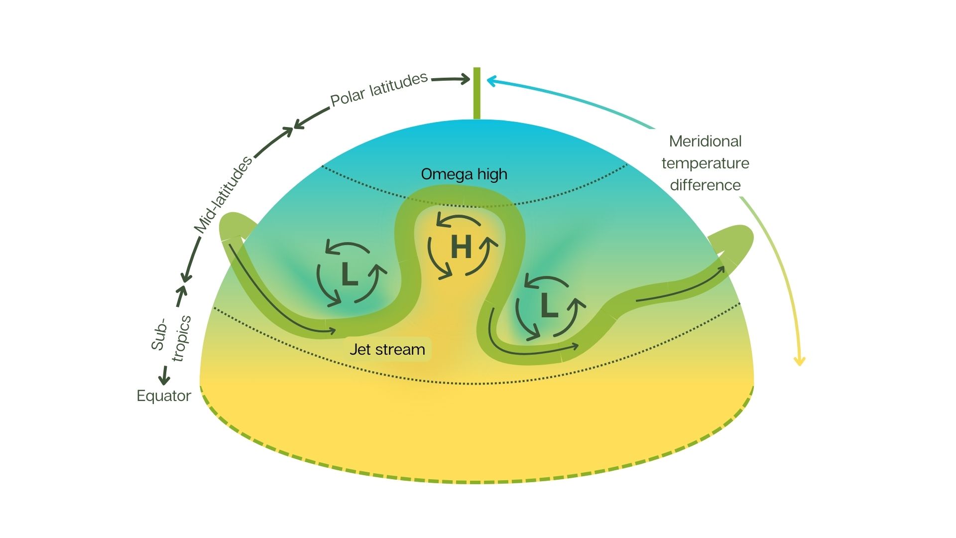 Diagram showing large‑scale atmospheric circulation across latitudes, with the equator at the bottom and polar latitudes at the top. A wavy jet stream separates warmer subtropical air from cooler polar air. Areas of high pressure (H) and low pressure (L) are shown along the jet stream, illustrating omega blocking, meridional temperature differences, and north–south (meridional) airflow between the tropics, mid‑latitudes, and polar regions.