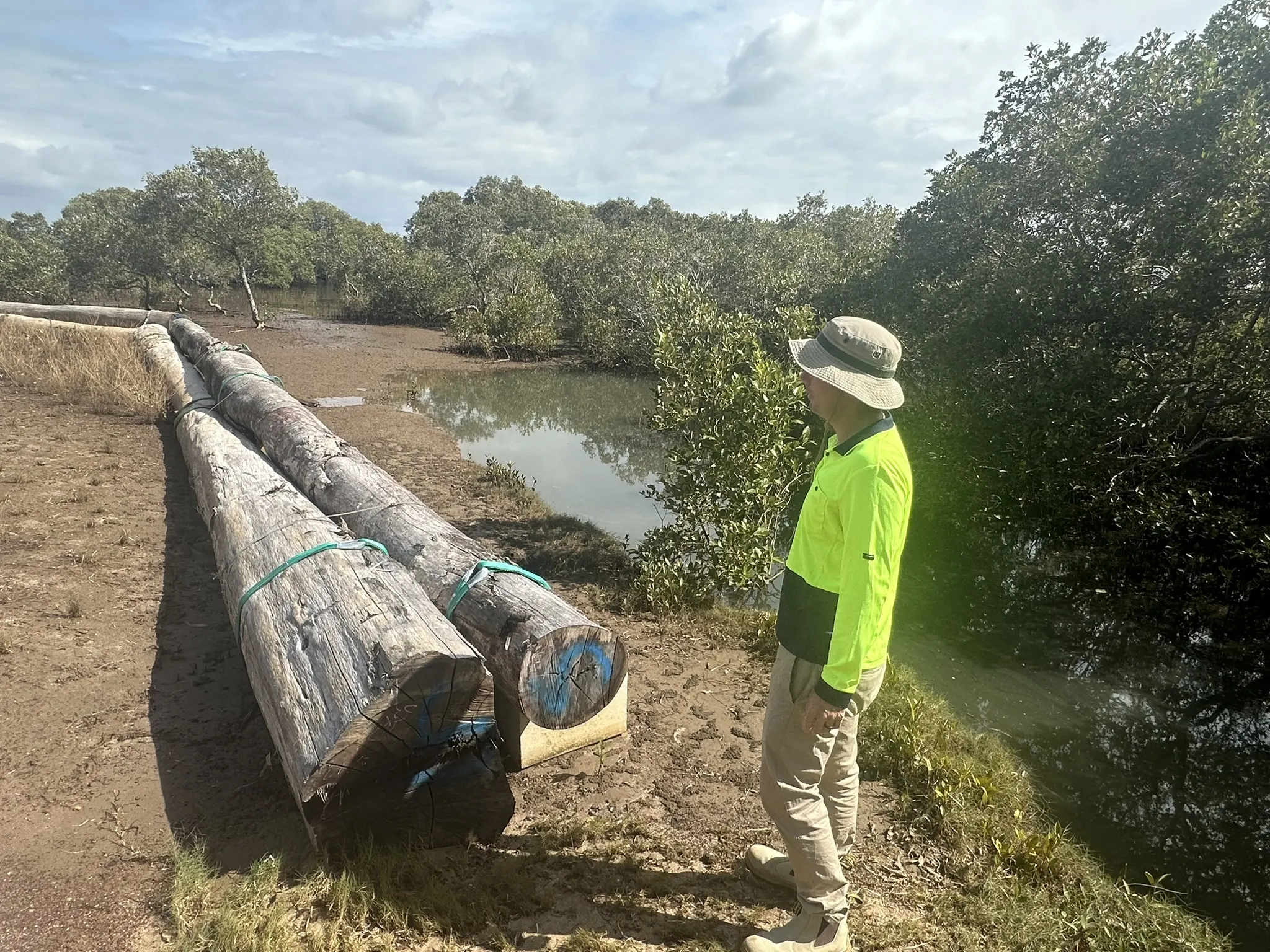 Person wearing a high‑visibility top standing beside large timber logs installed within a mangrove regeneration area, part of a nature‑based solutions scheme for coastal flood protection.