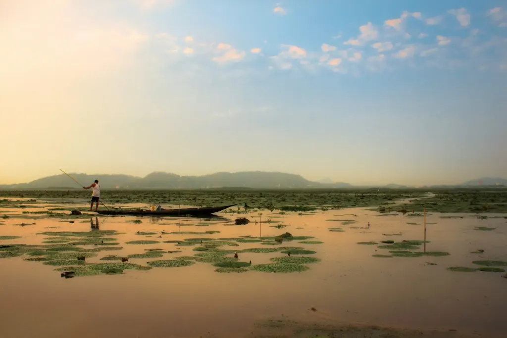 Person on a small boat in a shallow wetland area with floating vegetation and hills in the background.