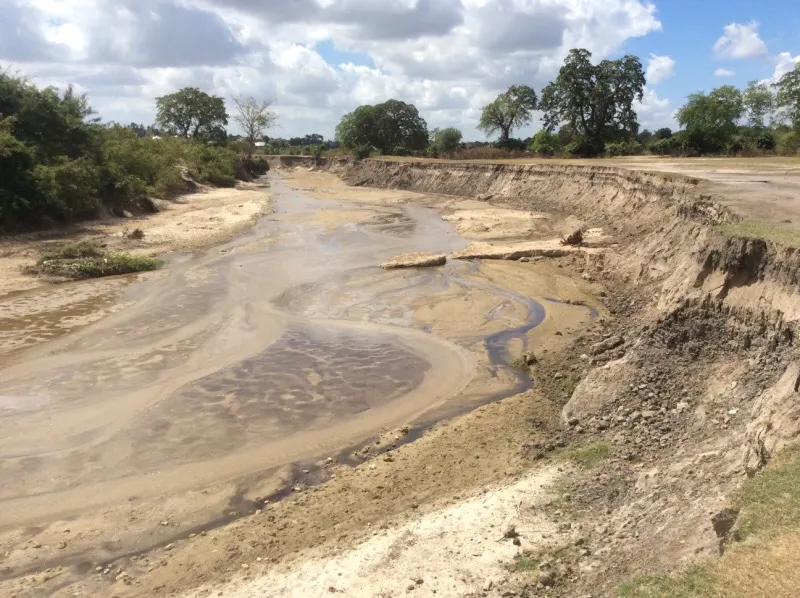 Exposed river banks and sediment deposits along a wide and shallow river channel.