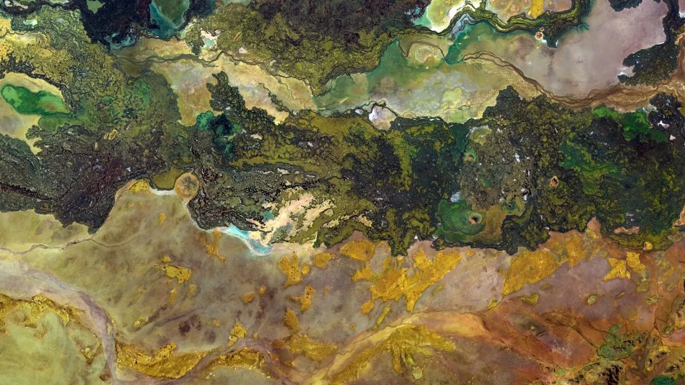 Aerial view of wetlands and river channels showing varied water, sediment, and vegetation patterns.