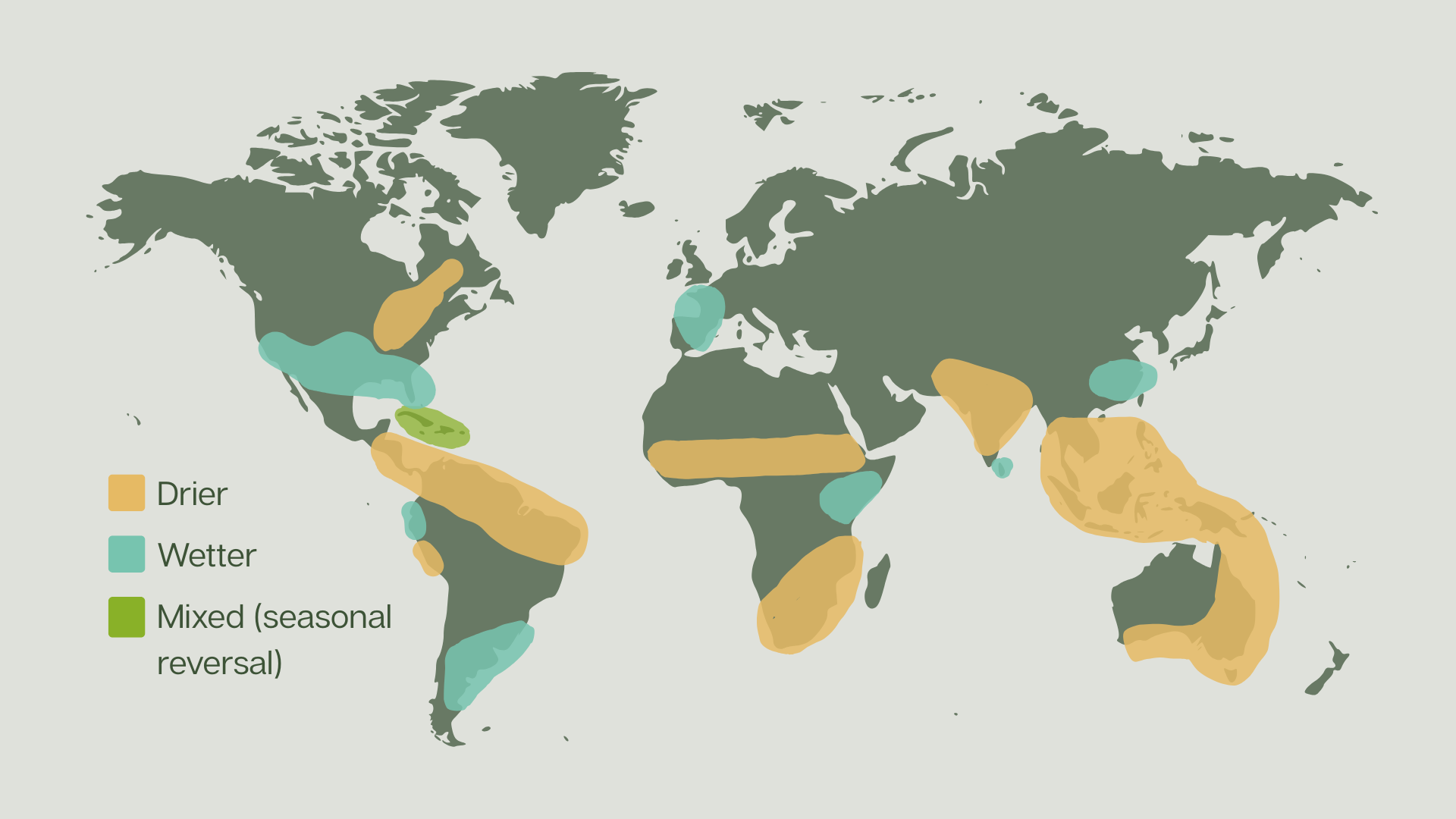 Figure 3: Global map showing El Niño precipitation impact. Each El Niño event is different and changes to precipitation vary between seasons. Sourced from BBC 2026.