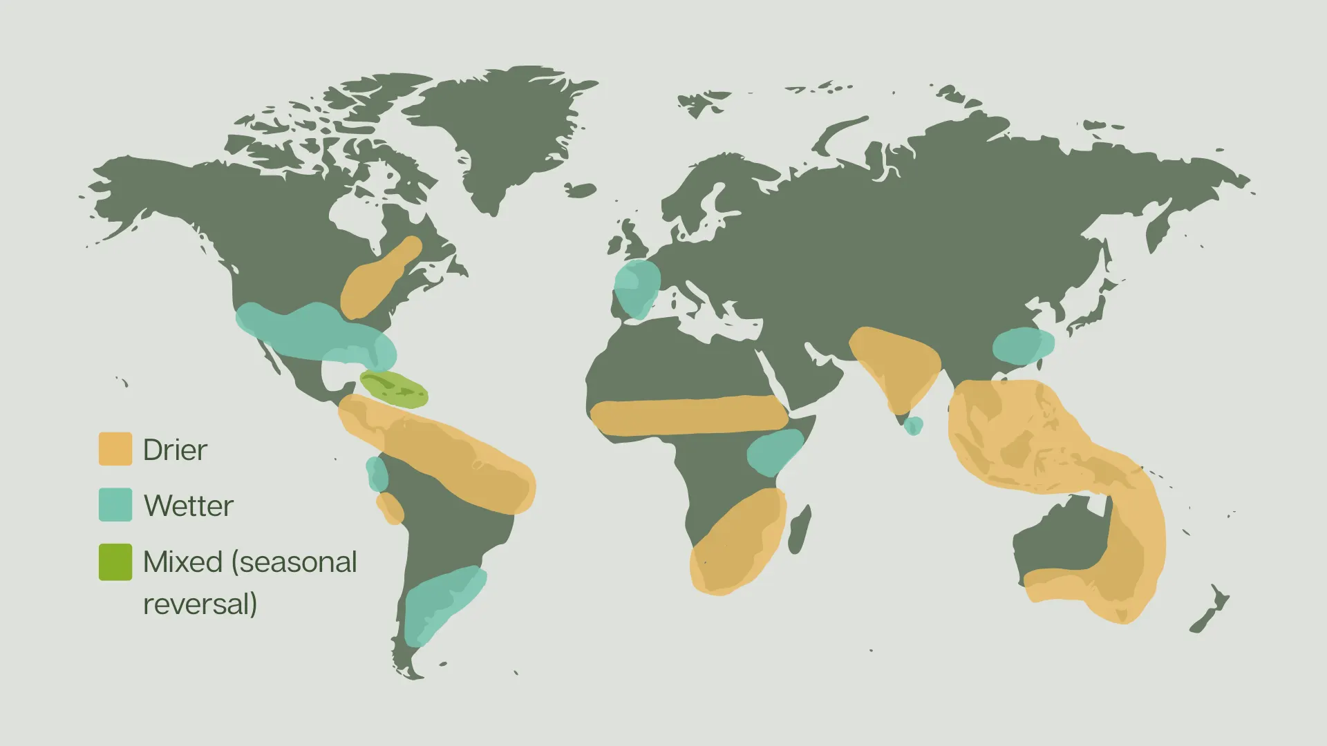 Figure 3: Global map showing El Niño precipitation impact. Each El Niño event is different and changes to precipitation vary between seasons. Sourced from BBC 2026.