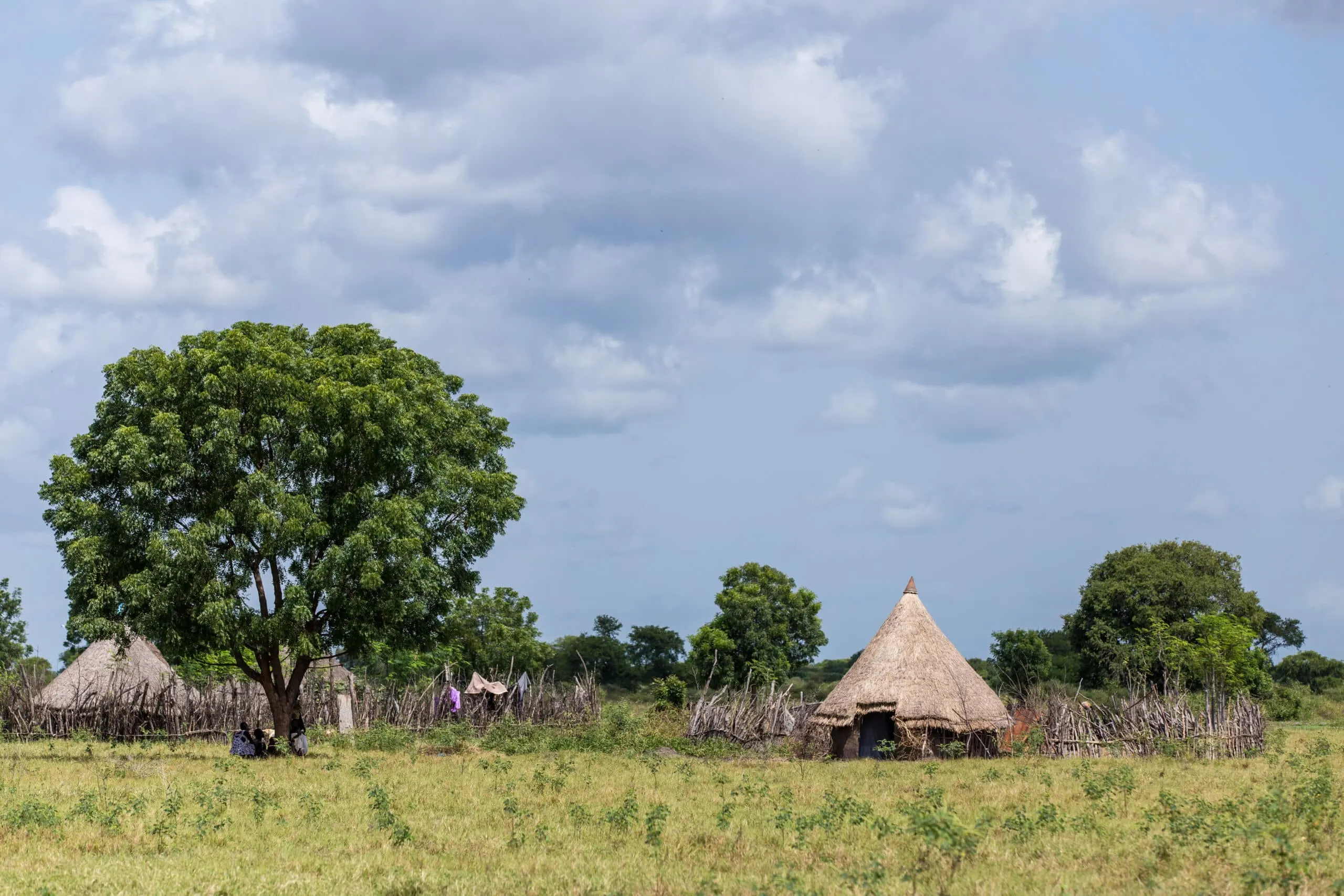 Rural village scene with thatched huts and fenced enclosures beside a large tree, set within open grassland under dark, low storm clouds.