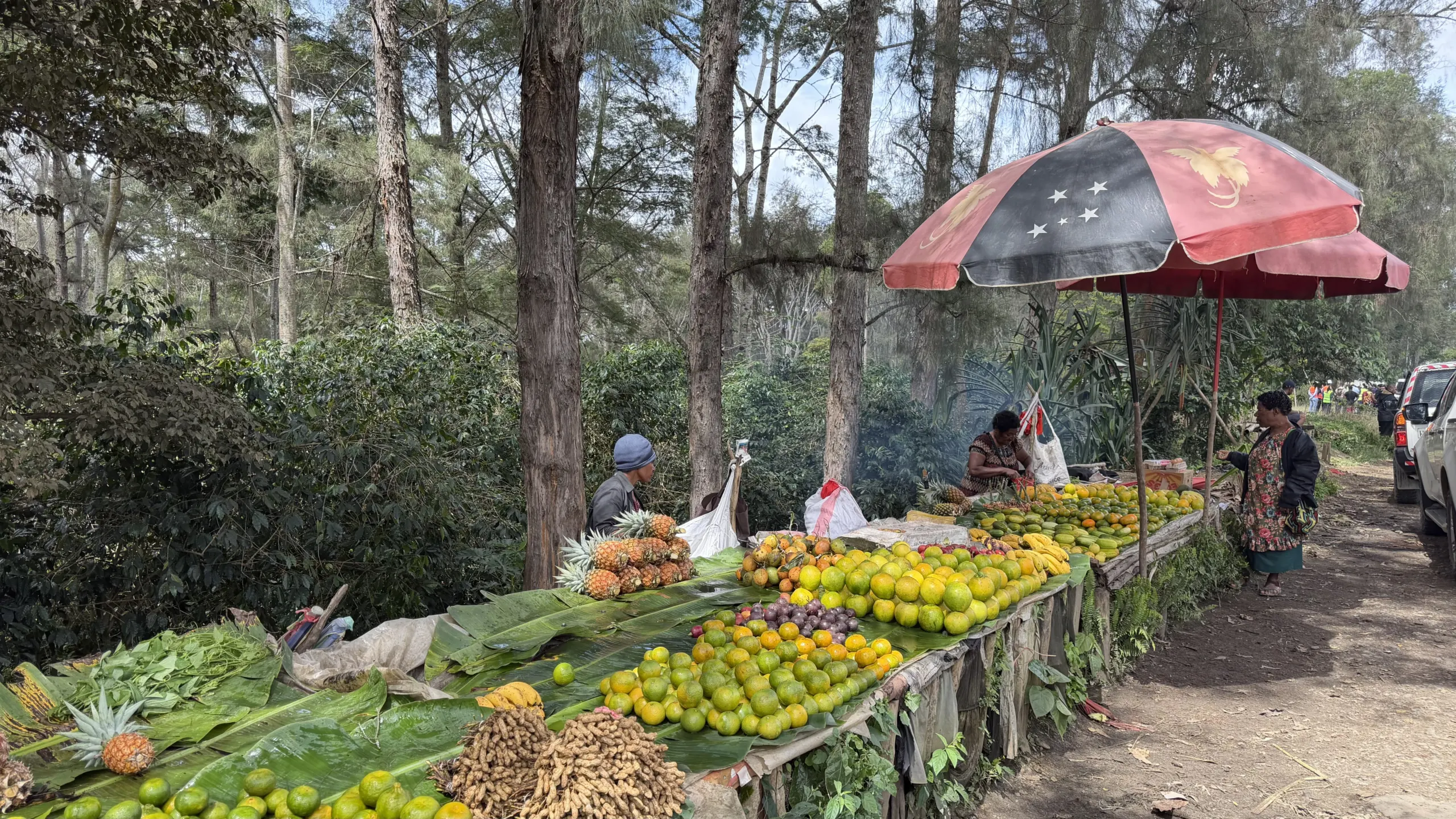 Roadside market in Papua New Guinea displaying fresh fruit and vegetables on stalls beneath umbrellas, with vendors and customers beside a tree-lined road.
