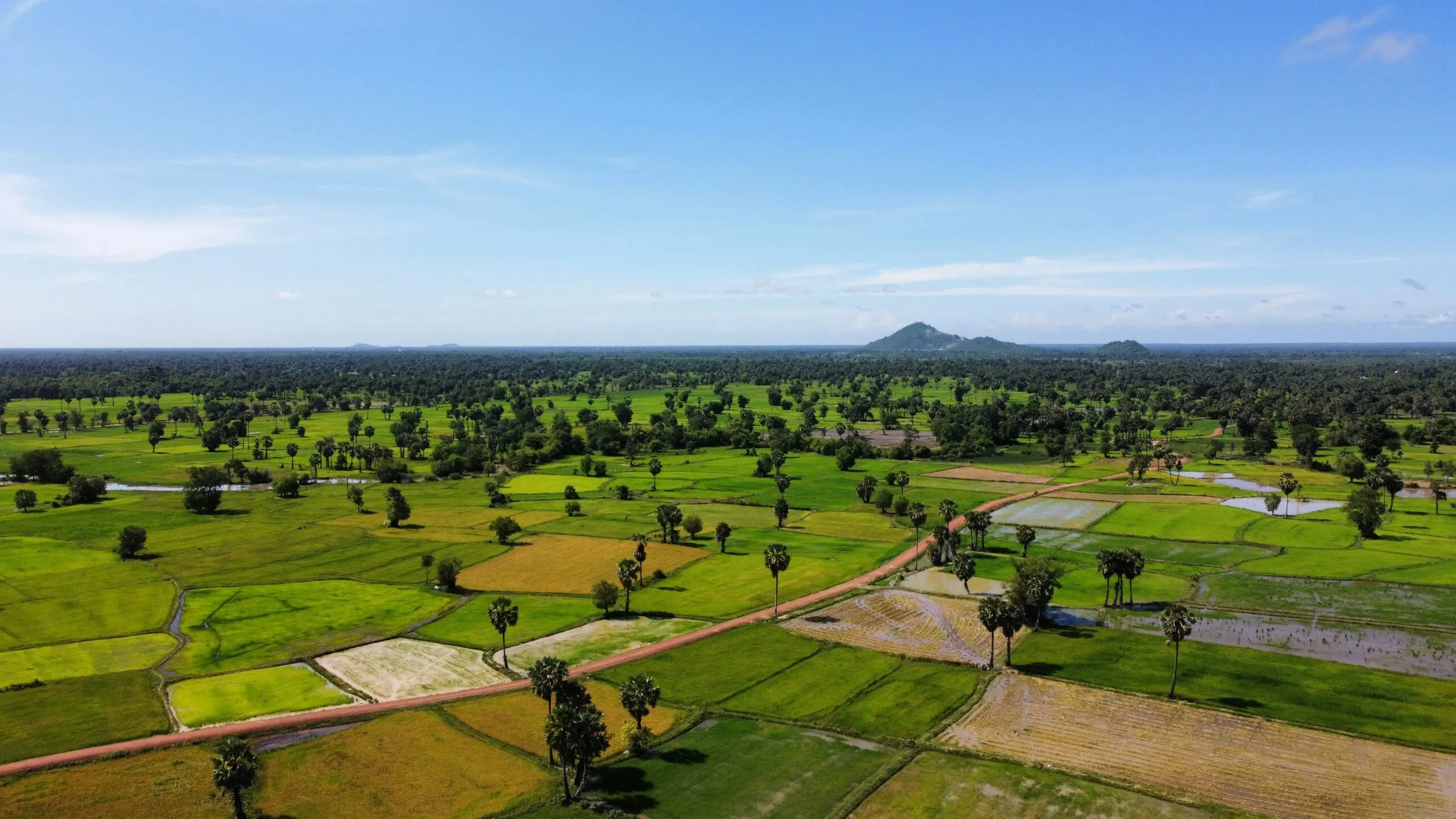 Aerial view of green agricultural fields, scattered trees and rural roads across the landscape of Cambodia.