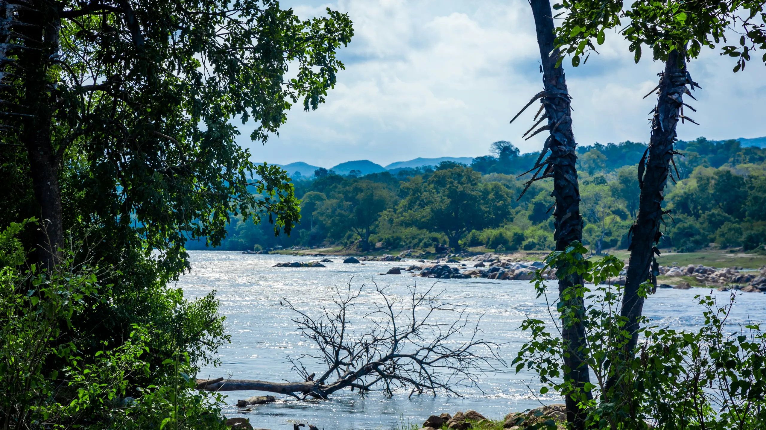 River flowing through lush countryside, Malawi.